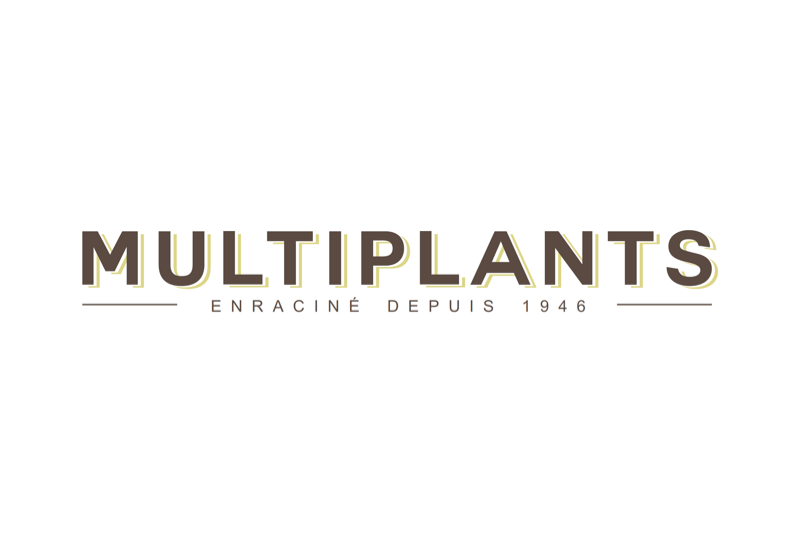 Multiplants